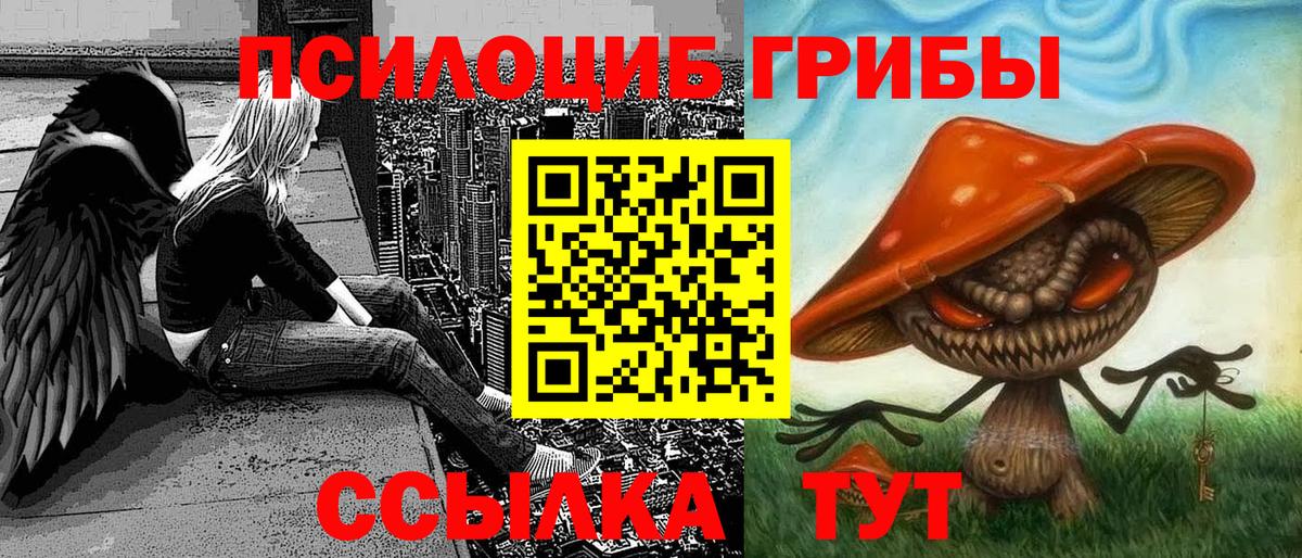 Псилоцибиновые грибы Psilocybine cubensis  Вход с VPN  Псилоцибиновые грибы MAGIC MUSHROOMS  Кумертау 