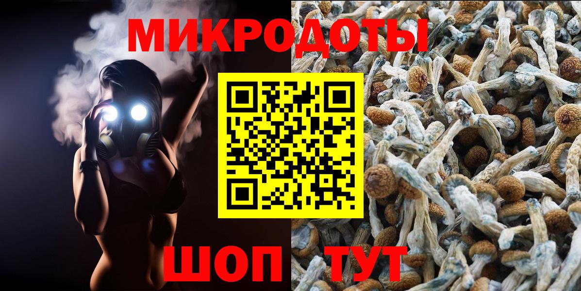 Галлюциногенные грибы Psilocybe Кумертау